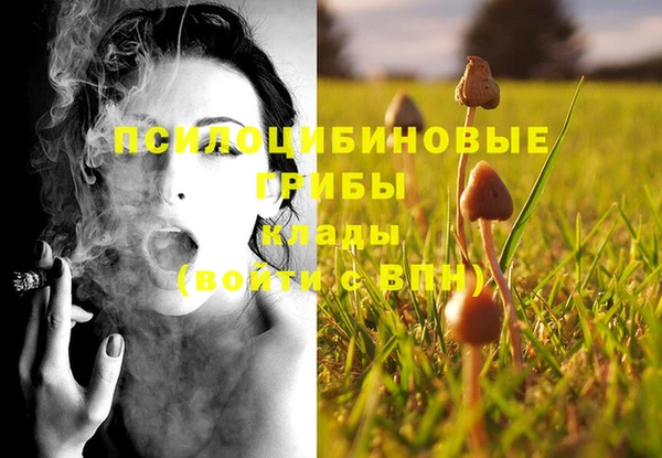 первитин Алексин